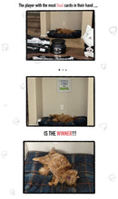 Reaper Cat: The Card Game!